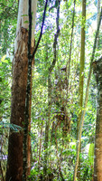 QueenslandJun2019_0002