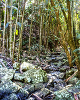 QueenslandJun2019_0026