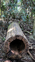 QueenslandJun2019_0004