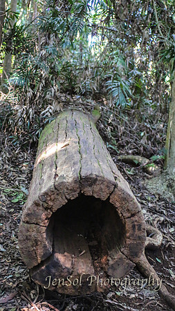 QueenslandJun2019_0004