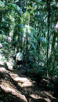 QueenslandJun2019_0013