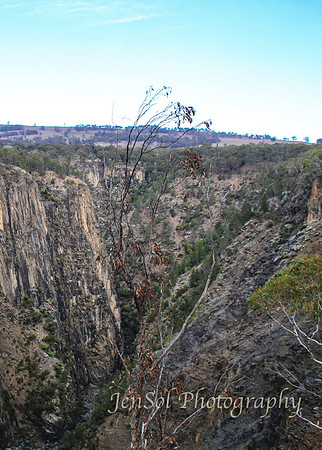 QueenslandJun2019_0078