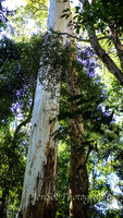 QueenslandJun2019_0007