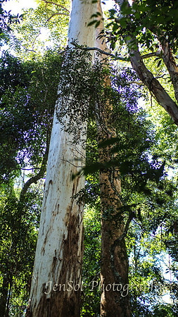 QueenslandJun2019_0007