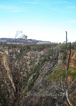 QueenslandJun2019_0077