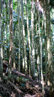 QueenslandJun2019_0011