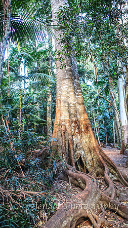 QueenslandJun2019_0032