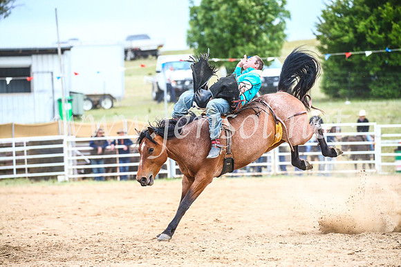 BungendoreRodeo2017_6054