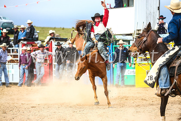 BungendoreRodeo2017_6175