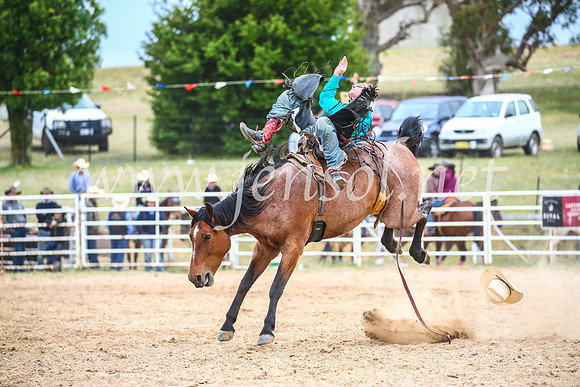BungendoreRodeo2017_6028