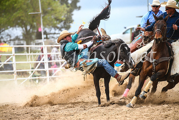 BungendoreRodeo2017_6316
