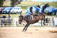 BungendoreRodeo2017_5831