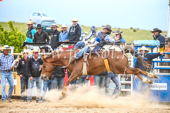 BungendoreRodeo2017_6090