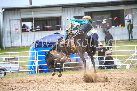 BungendoreRodeo2017_6236
