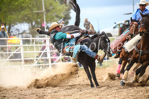 BungendoreRodeo2017_6317