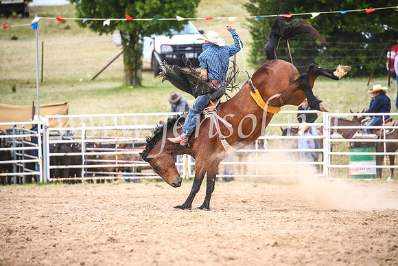 BungendoreRodeo2017_6365