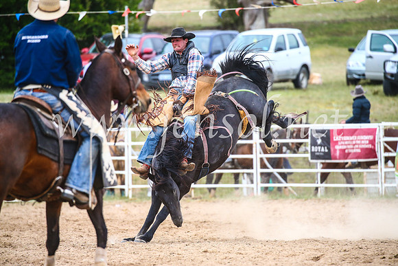 BungendoreRodeo2017_5957