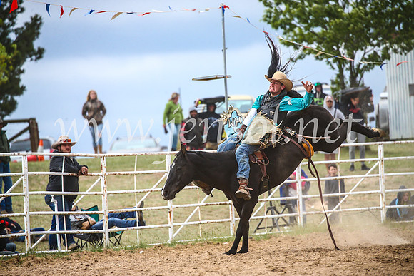 BungendoreRodeo2017_6267