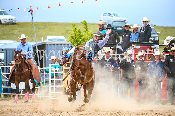 BungendoreRodeo2017_6120