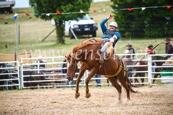 BungendoreRodeo2017_6427