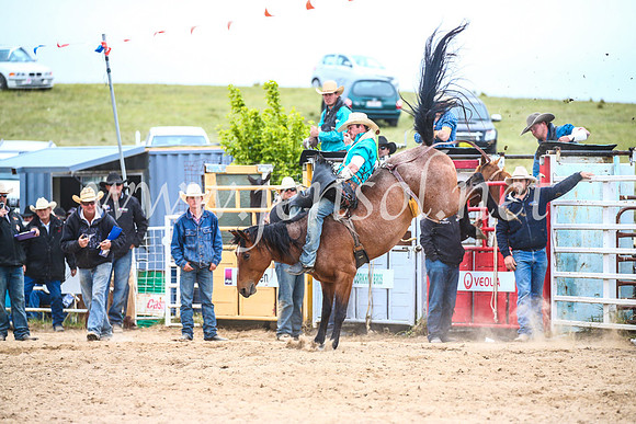 BungendoreRodeo2017_6009