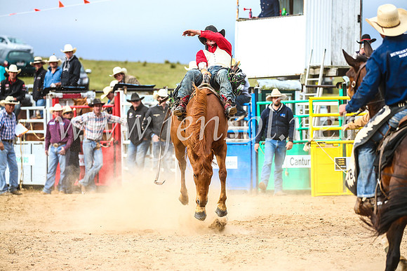 BungendoreRodeo2017_6176