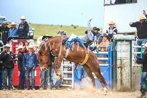 BungendoreRodeo2017_6096