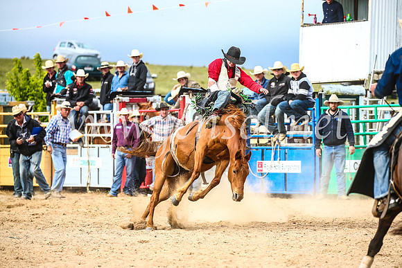 BungendoreRodeo2017_6157