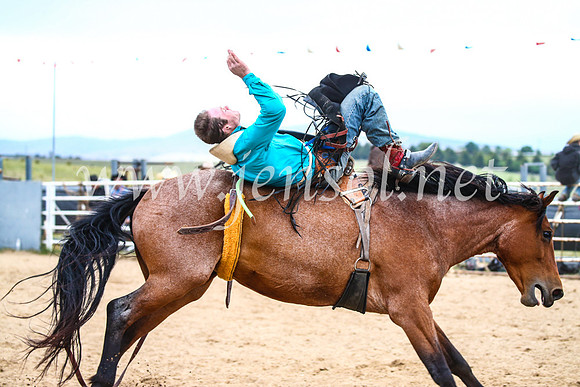 BungendoreRodeo2017_6077