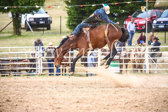 BungendoreRodeo2017_6367