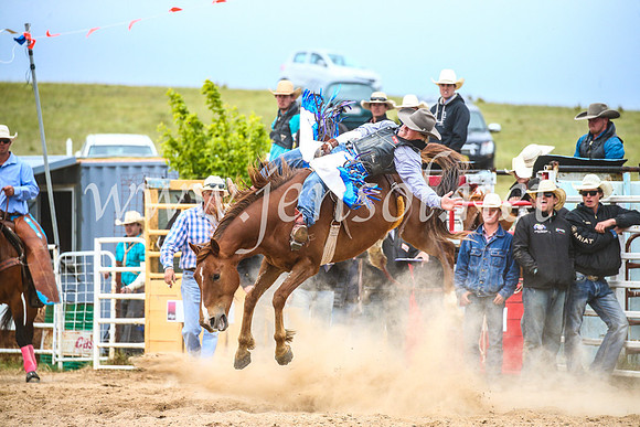 BungendoreRodeo2017_6098