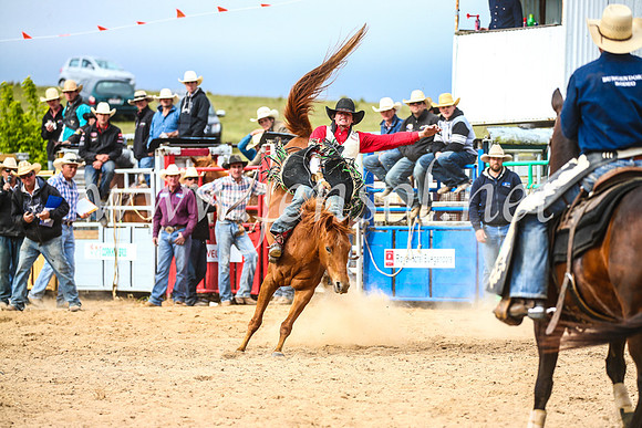 BungendoreRodeo2017_6159