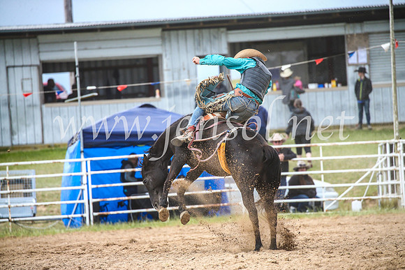 BungendoreRodeo2017_6237