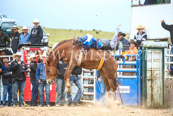 BungendoreRodeo2017_6097