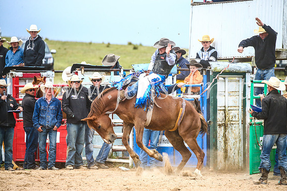 BungendoreRodeo2017_6095