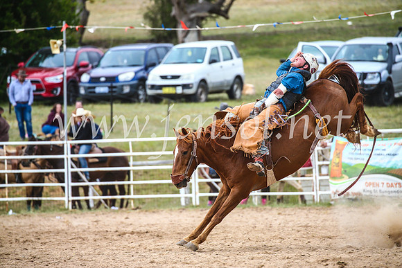 BungendoreRodeo2017_6409