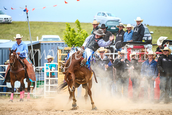 BungendoreRodeo2017_6102