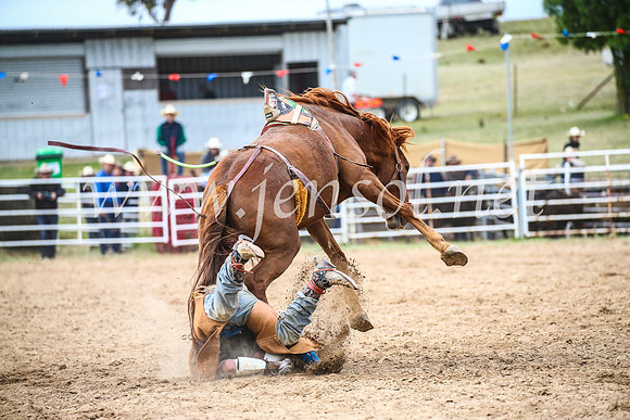 BungendoreRodeo2017_6499