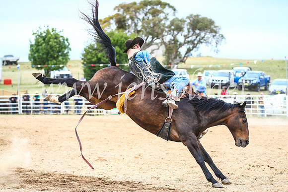BungendoreRodeo2017_5872