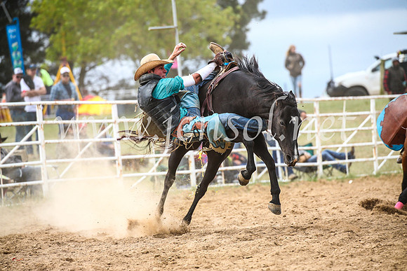 BungendoreRodeo2017_6295