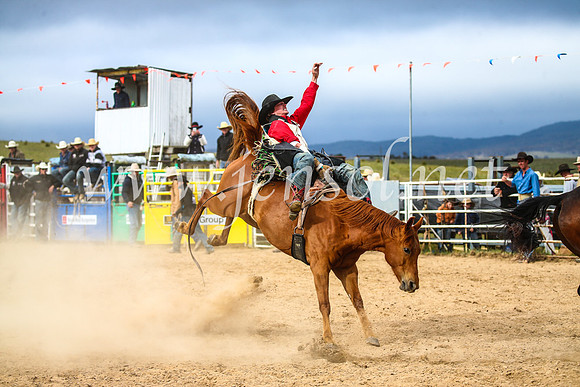 BungendoreRodeo2017_6183