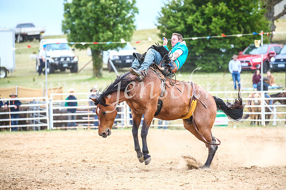 BungendoreRodeo2017_6048