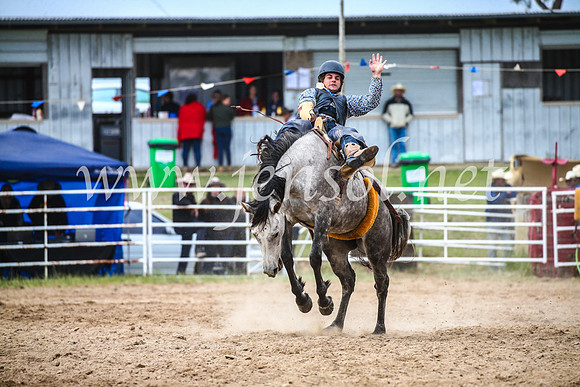 BungendoreRodeo2017_5919