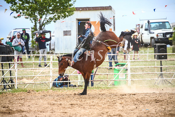 BungendoreRodeo2017_6390