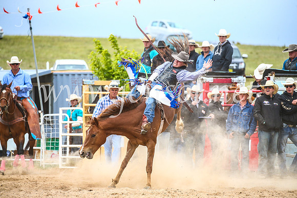BungendoreRodeo2017_6099