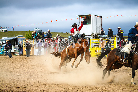 BungendoreRodeo2017_6190