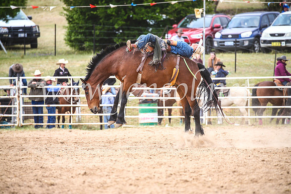 BungendoreRodeo2017_6348