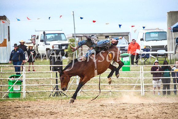 BungendoreRodeo2017_6397