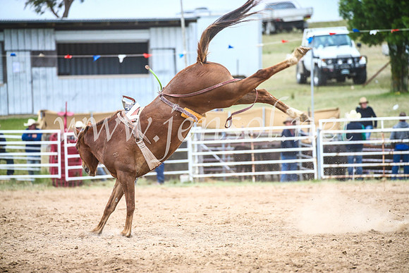 BungendoreRodeo2017_6144