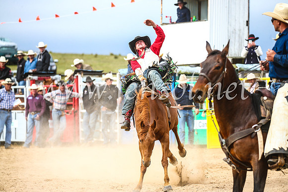 BungendoreRodeo2017_6167